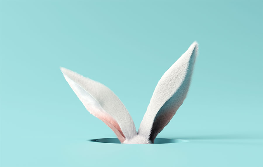rabbit ears poking out of a hole