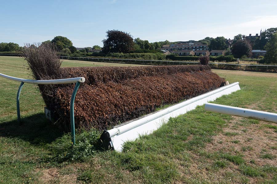 jump fence at the Warwick race course