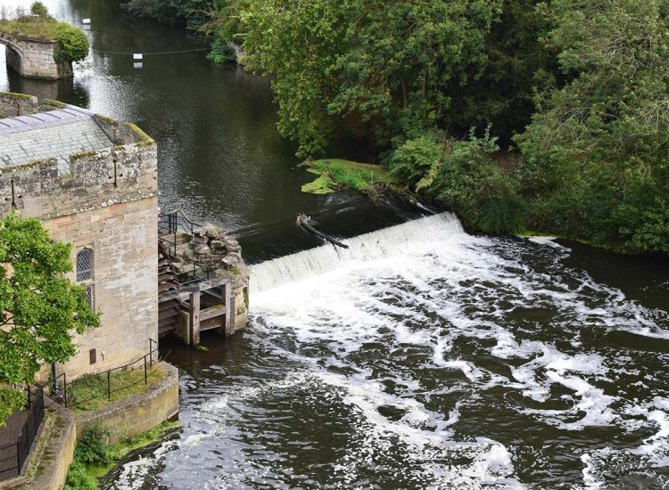 Local Attractions in Warwick