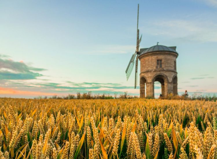 Perfect Staycation in Warwick